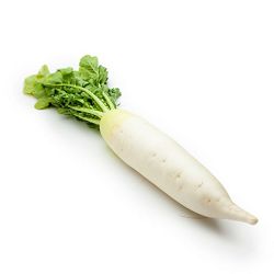 DAIKON