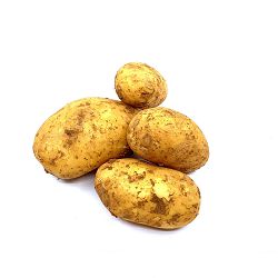 KRUMPIR MLADI BIJELI FRANCUSKA